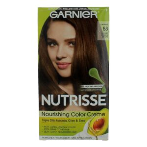 Garnier Hair Color Nutrisse Coloring Creme by Garnier Hair Color - Chestnut 53