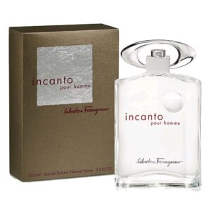 Incanto Pour Homme By Salvatore Ferragamo 3.4oz Eau De Toieltte Spray men