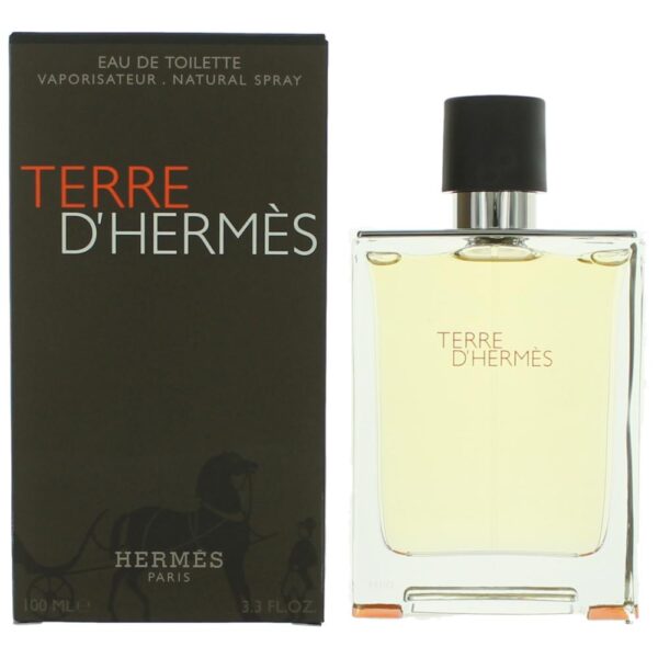 Terre D'Hermes By Hermes 3.3 oz EDT Spray for Men